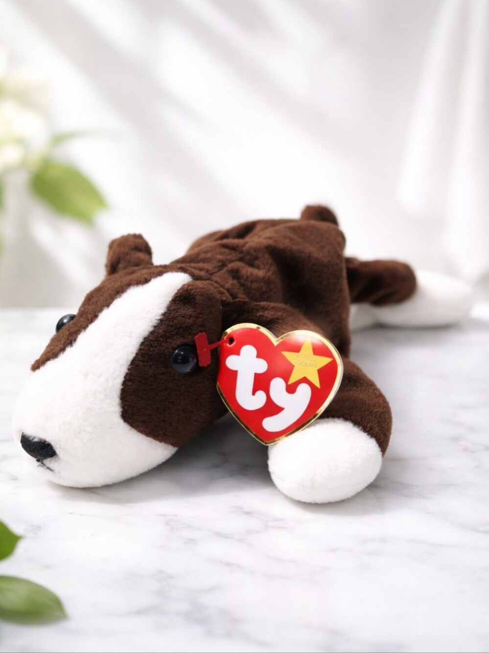 "Bruno" 1997 Ty Beanie Babies Collection with tag